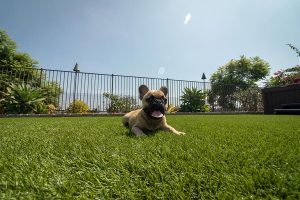 fake grass