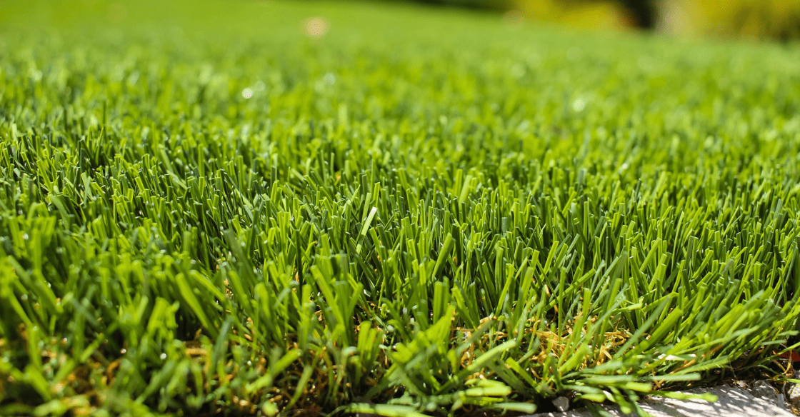artificial turf
