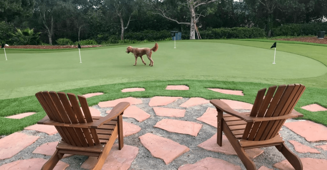 Pet-friendly putting green