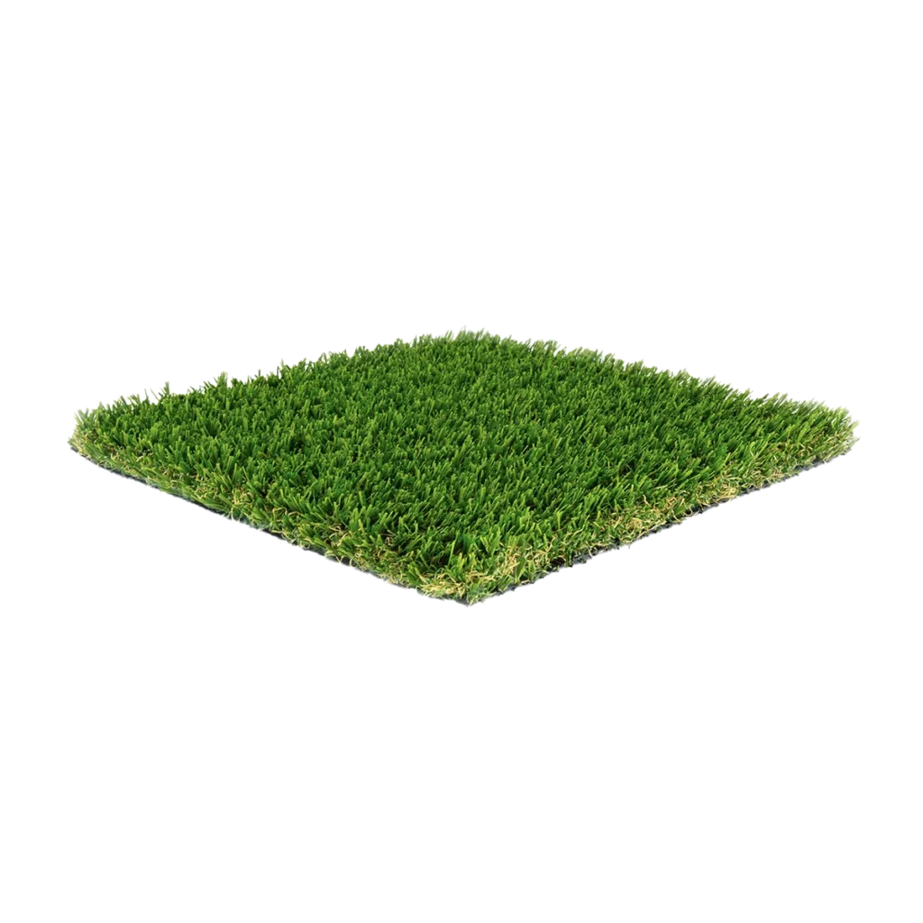 Coastal Blend turf