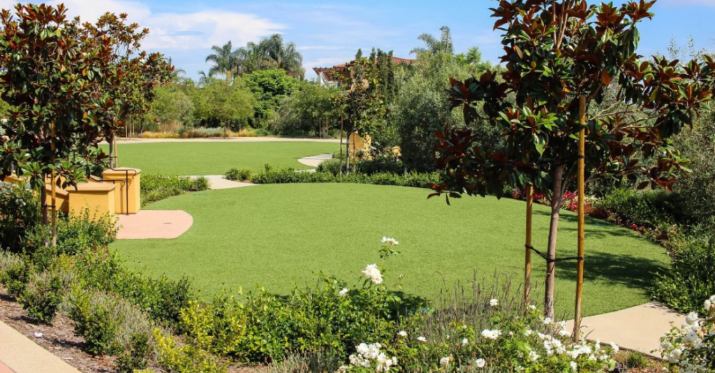 Sunny park with synthetic grass