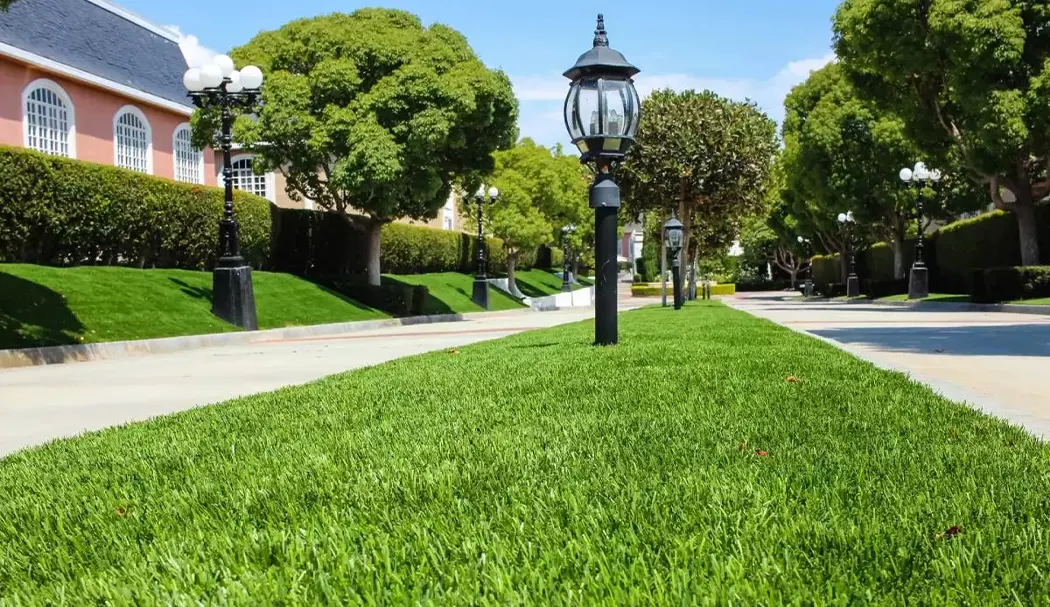 residential turf project
