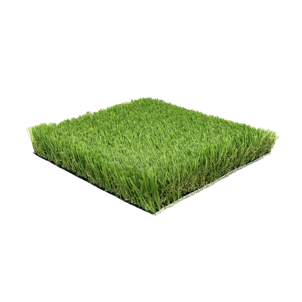 Malibu Blend Pro turf