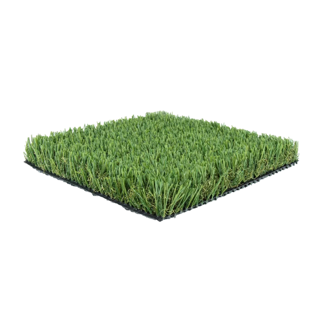 Santa Barbara turf